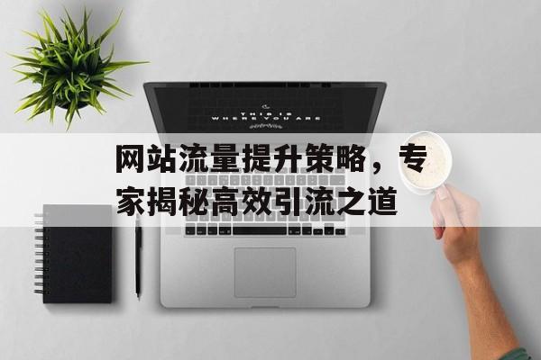 网站流量提升策略,专家揭秘高效引流之道 网站流量提升策略,专家揭秘高效引流之道
