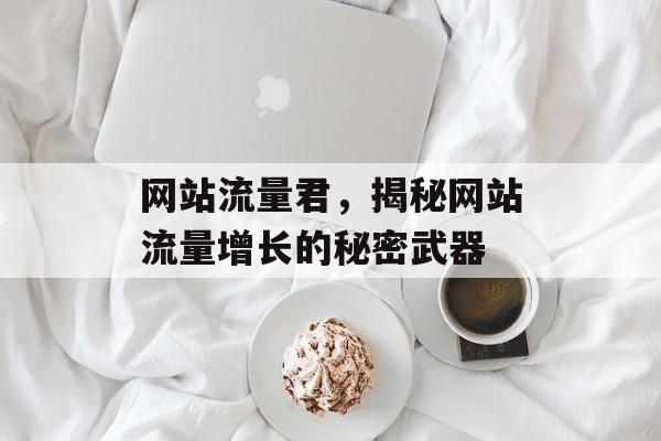 网站流量君，揭秘网站流量增长的秘密武器