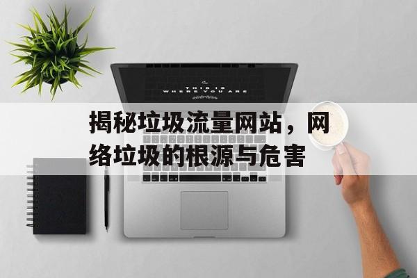 揭秘垃圾流量网站，网络垃圾的根源与危害