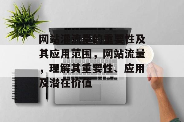 网站灌流量的重要性及其应用范围，网站流量，理解其重要性、应用及潜在价值