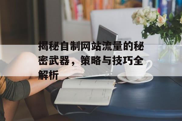 揭秘自制网站流量的秘密武器，策略与技巧全解析