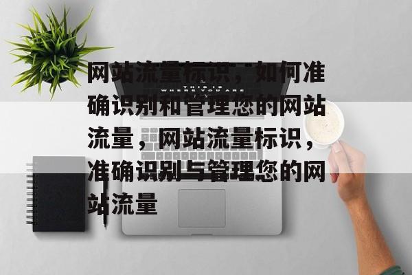 网站流量标识，如何准确识别和管理您的网站流量，网站流量标识，准确识别与管理您的网站流量