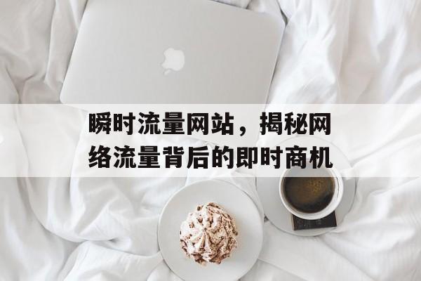 瞬时流量网站，揭秘网络流量背后的即时商机