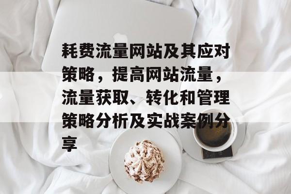 耗费流量网站及其应对策略,提高网站流量,流量获取、转化和管理策略分析及实战案例分享 耗费流量网站及其应对策略,提高网站流量,流量获取、转化和管理策略分析及实战案例分享