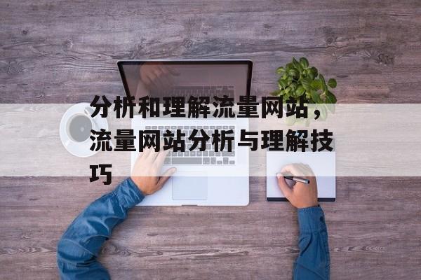 分析和理解流量网站，流量网站分析与理解技巧