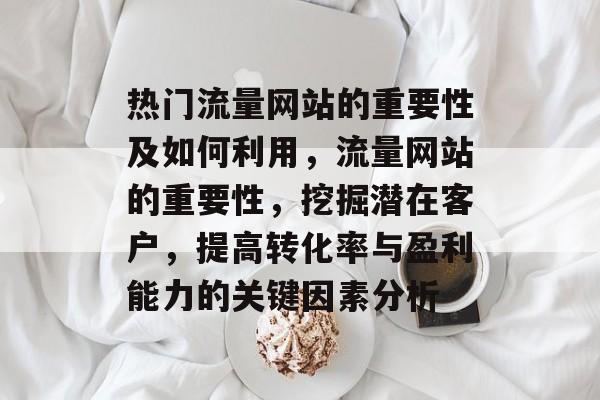 热门流量网站的重要性及如何利用,流量网站的重要性,挖掘潜在客户,提高转化率与盈利能力的关键因素分析 热门流量网站的重要性及如何利用,流量网站的重要性,挖掘潜在客户,提高转化率与盈利能力的关键因素分析