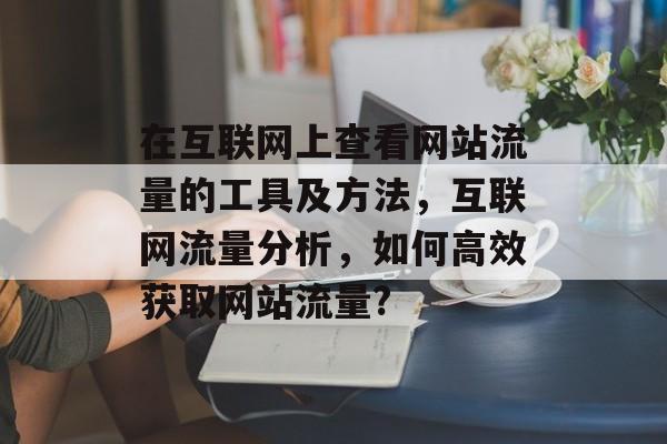 在互联网上查看网站流量的工具及方法,互联网流量分析,如何高效获取网站流量? 在互联网上查看网站流量的工具及方法,互联网流量分析,如何高效获取网站流量?