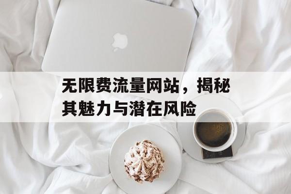 无限费流量网站，揭秘其魅力与潜在风险