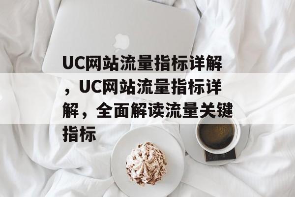 UC网站流量指标详解，UC网站流量指标详解，全面解读流量关键指标