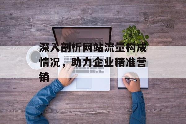 深入剖析网站流量构成情况，助力企业精准营销
