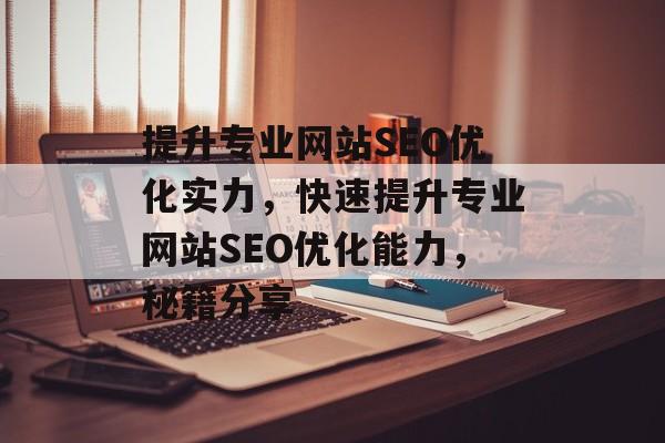 提升专业网站SEO优化实力，快速提升专业网站SEO优化能力，秘籍分享