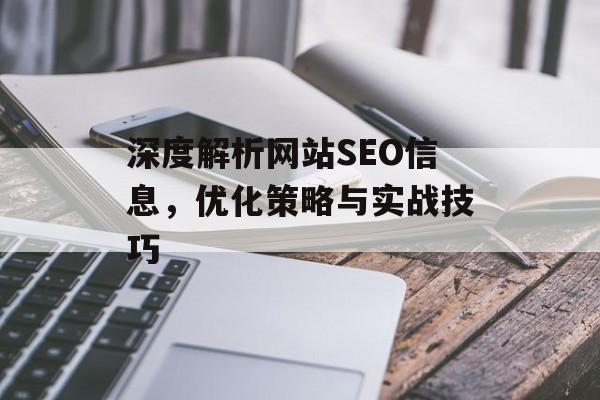 深度解析网站SEO信息，优化策略与实战技巧