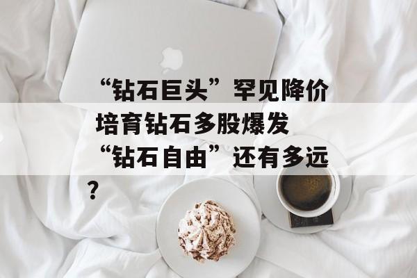 “钻石巨头”罕见降价 培育钻石多股爆发 “钻石自由”还有多远？