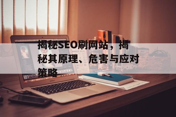 揭秘SEO刷网站，揭秘其原理、危害与应对策略
