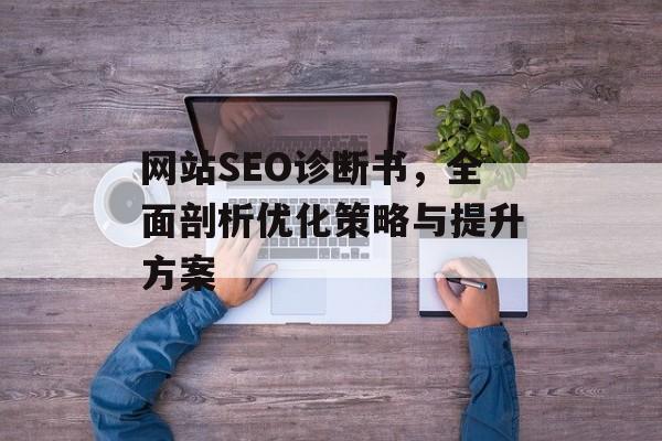 网站SEO诊断书，全面剖析优化策略与提升方案