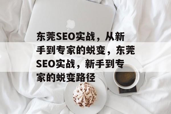 东莞SEO实战,从新手到专家的蜕变,东莞SEO实战,新手到专家的蜕变路径 东莞SEO实战,从新手到专家的蜕变,东莞SEO实战,新手到专家的蜕变路径