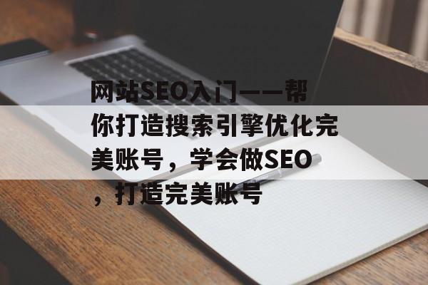 网站SEO入门——帮你打造搜索引擎优化完美账号，学会做SEO，打造完美账号