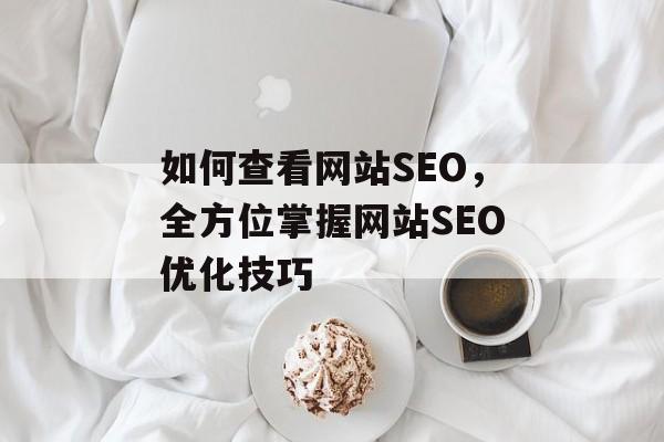 如何查看网站SEO,全方位掌握网站SEO优化技巧 如何查看网站SEO,全方位掌握网站SEO优化技巧