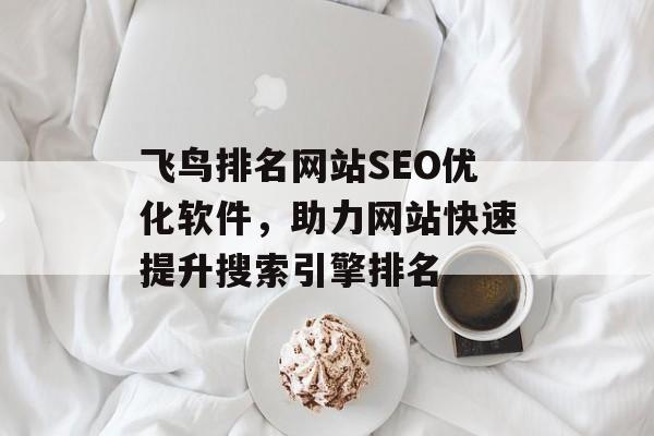 飞鸟排名网站SEO优化软件，助力网站快速提升搜索引擎排名