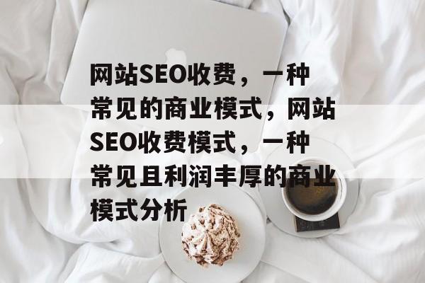 网站SEO收费，一种常见的商业模式，网站SEO收费模式，一种常见且利润丰厚的商业模式分析