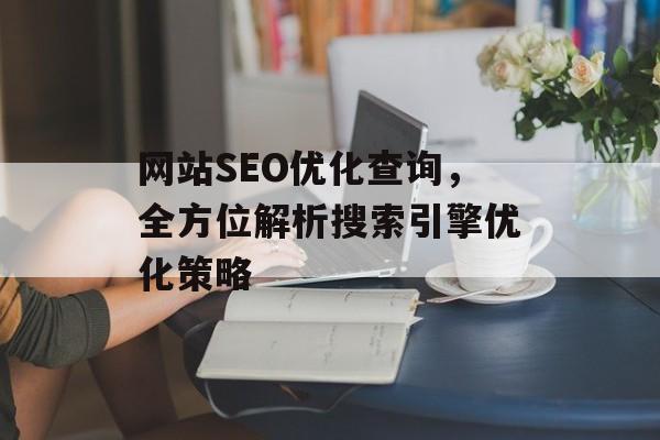 网站SEO优化查询,全方位解析搜索引擎优化策略 网站SEO优化查询,全方位解析搜索引擎优化策略
