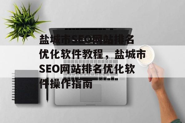盐城市SEO网站排名优化软件教程，盐城市SEO网站排名优化软件操作指南