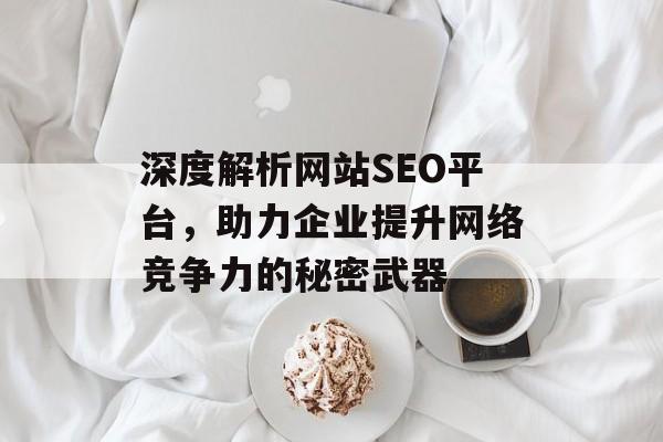 深度解析网站SEO平台，助力企业提升网络竞争力的秘密武器