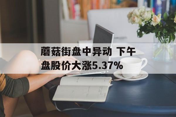 蘑菇街盘中异动 下午盘股价大涨5.37% 蘑菇街盘中异动 下午盘股价大涨5.37%
