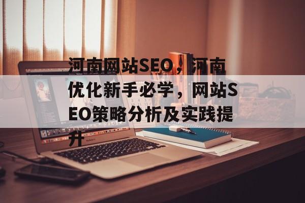 河南网站SEO，河南优化新手必学，网站SEO策略分析及实践提升