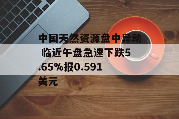 中国天然资源盘中异动 临近午盘急速下跌5.65%报0.591美元 中国天然资源盘中异动 临近午盘急速下跌5.65%报0.591美元
