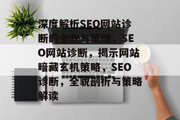 深度解析SEO网站诊断的全貌与策略，SEO网站诊断，揭示网站暗藏玄机策略，SEO诊断，全貌剖析与策略解读