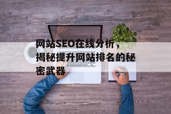 网站SEO在线分析，揭秘提升网站排名的秘密武器