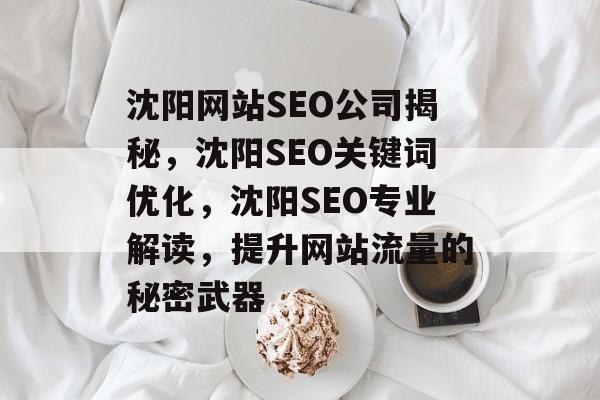 沈阳网站SEO公司揭秘，沈阳SEO关键词优化，沈阳SEO专业解读，提升网站流量的秘密武器