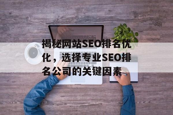 揭秘网站SEO排名优化,选择专业SEO排名公司的关键因素 揭秘网站SEO排名优化,选择专业SEO排名公司的关键因素