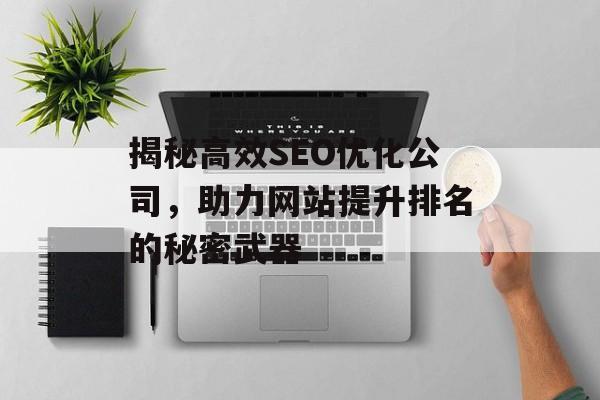 揭秘高效SEO优化公司，助力网站提升排名的秘密武器