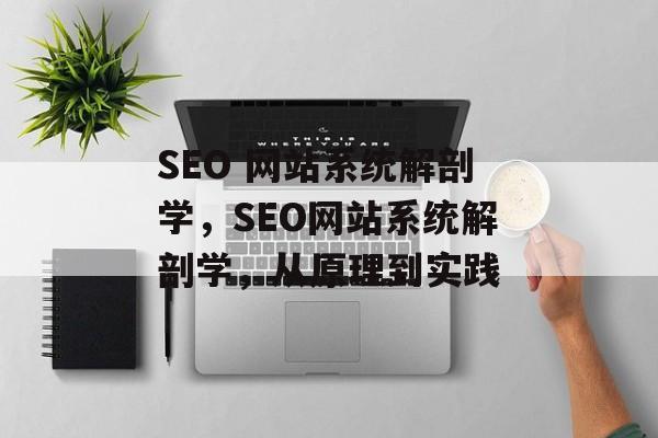 SEO 网站系统解剖学,SEO网站系统解剖学,从原理到实践 SEO 网站系统解剖学,SEO网站系统解剖学,从原理到实践