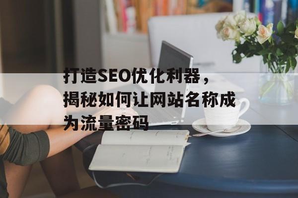 打造SEO优化利器，揭秘如何让网站名称成为流量密码