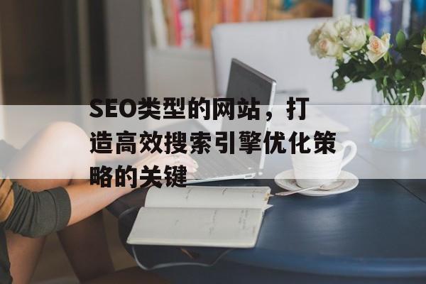 SEO类型的网站，打造高效搜索引擎优化策略的关键