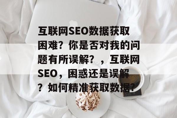互联网SEO数据获取困难？你是否对我的问题有所误解？，互联网SEO，困惑还是误解？如何精准获取数据?