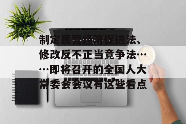 制定民营经济促进法、修改反不正当竞争法……即将召开的全国人大常委会会议有这些看点 制定民营经济促进法、修改反不正当竞争法……即将召开的全国人大常委会会议有这些看点