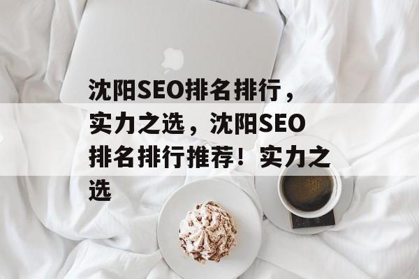 沈阳SEO排名排行，实力之选，沈阳SEO排名排行推荐！实力之选