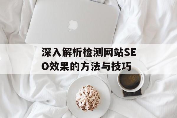 深入解析检测网站SEO效果的方法与技巧
