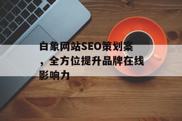 白象网站SEO策划案，全方位提升品牌在线影响力
