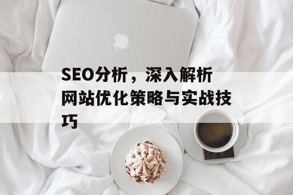SEO分析，深入解析网站优化策略与实战技巧