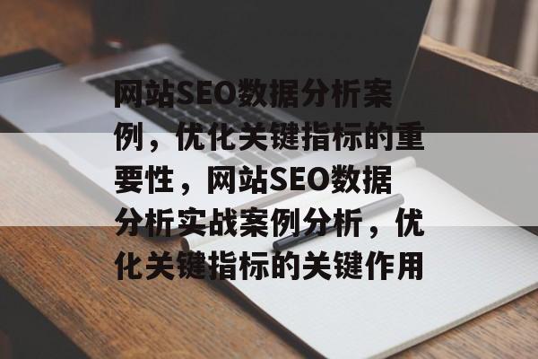 网站SEO数据分析案例，优化关键指标的重要性，网站SEO数据分析实战案例分析，优化关键指标的关键作用
