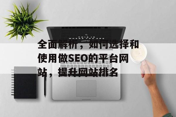 全面解析，如何选择和使用做SEO的平台网站，提升网站排名