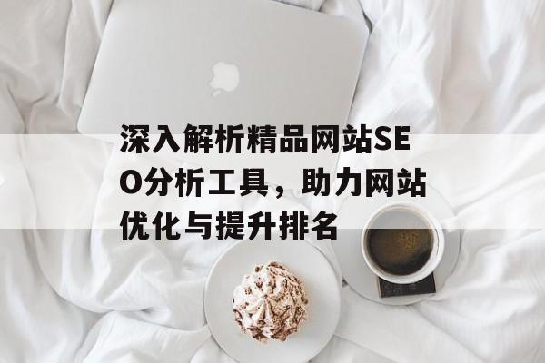 深入解析精品网站SEO分析工具,助力网站优化与提升排名 深入解析精品网站SEO分析工具,助力网站优化与提升排名