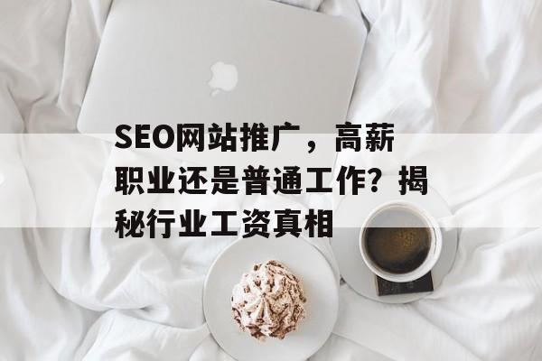 SEO网站推广，高薪职业还是普通工作？揭秘行业工资真相