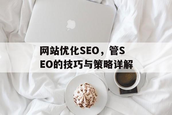网站优化SEO，管SEO的技巧与策略详解