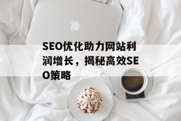SEO优化助力网站利润增长，揭秘高效SEO策略